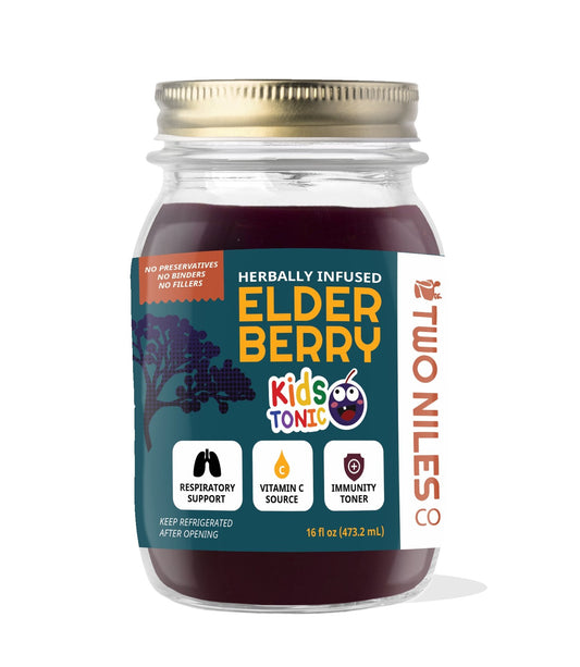 Kid Friendly Elderberry Tonic